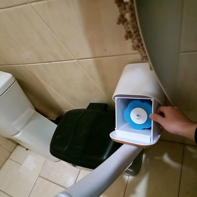 Toilet Brush